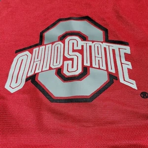 Ohio State Pillow Sham 31" x 23" - Picture 1 of 4