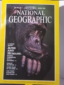 National Geographic Magazine- March 1992 Vol 181 No 3 Apes and Humans - Picture 1 of 2