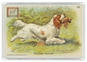 CLUMBER SPANIEL DOG SODA ADVERT ACRYLIC NOVELTY ART PRINT FRIDGE MAGNET GIFT - Picture 1 of 1