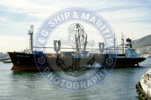 1979 Built General Cargo/Container Ship DOCTOR LYKES - 6x4 (10x15) Photograph - Picture 1 of 1