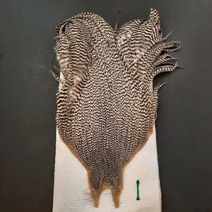 Grizzly Dry Fly Hackle Neck Cape Rooster Dry Fly Tying Feathers #1 Auction - Picture 1 of 11