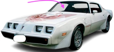 Подходит: 1971-1981 Chev Camaro-Pontiac Firebird 2D купе муравей переднее ветровое стекло стекло - Изображение 1 из 4