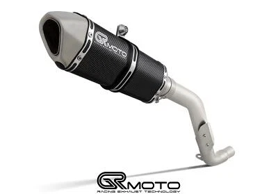 Выхлопная труба карбоновая глушитель TRIUMPH TIGER 1050 2006 - 2012 GRmoto - Изображение 1 из 4