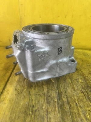 Arctic Cat M8 153 2010 cilindro 49 Foto 1 de 4