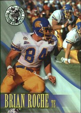 1996 Press Pass Holofoil San Diego Chargers Football Card #30 Brian Roche