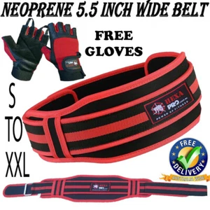 BodyBuilding Weight Lifting Fitness Gym Neoprene Wide Double Back Support Belt - Picture 1 of 6
