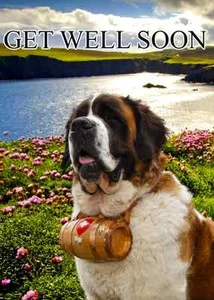 Personalisierte Grußkarte Bernhardiner HUND Get Well Soon PID102 A5 - Bild 1 von 1