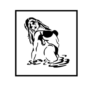 1-7x9 Zoll Schablone, (VI-15) Dame im Wasser (6mil) - Bild 1 von 2