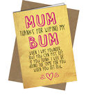 #937 BIRTHDAY CARD or MOTHERS DAY gift Funny Cheeky Rude Banter Wiping My bum