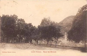 CPA 20 CORSE LEVIE SOUS LES OLIVIERS (cpa rare - Picture 1 of 1