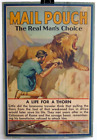 Vtg 1930s MAIL POUCH TOBACCO "Life for a Thorn" 22x14 Standee Poster FREE SHIP