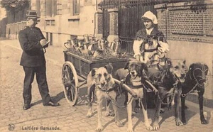 Belgique - Laitière flamande - Vlaams melkmeisje - Flemish milkmaid - Publ. Thil - Picture 1 of 2