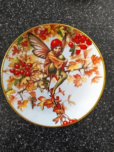 GRESHAM 8" FAIRY DISPLAY PLATE "THE HAWTHORN FAIRY" LTD EDITION 1989 - Picture 1 of 3