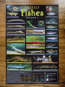 POSTER - ILLINOIS FISHES , volume 1 - Picture 1 of 6