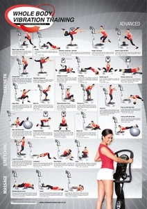 Whole Body Vibration Training Programme, Level 2, Advanced Training Chart - Picture 1 of 3