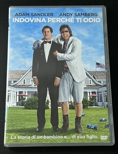 INDOVINA PERCHÉ TI ODIO con Adam Sandler - DVD ITA in italiano - Foto 1 di 4