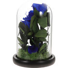 Eternal Silk Rose Glass Vase Preserved Blue Flower Gift Box