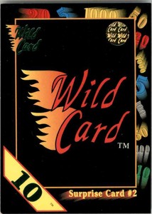 1991-92 Wild Card Wild Card #46 (99271)