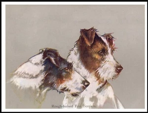 WIRE FOX JACK RUSSELL TERRIER DOGS HEAD STUDY VINTAGE STYLE DOG ART PRINT POSTER - Picture 1 of 1