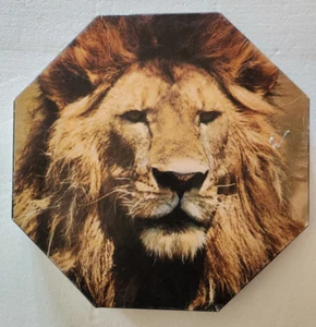 King of Beasts 500 Piece Jigsaw Puzzle Springbok 20 x 20 Octagon PZL8044 Vintage - Picture 1 of 5