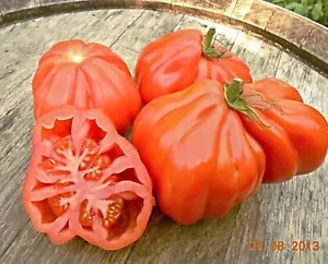 Samen Tomate Coeur de Boeuf, Ochsenherztomate, Oxheart Giant - Bild 1 von 3