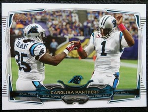 2014 Topps #146 Carolina Panthers - NM-MT