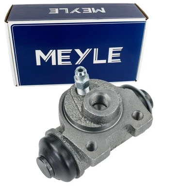 MEYLE Fonte Grise Cylindre Convient pour Dacia Logan Sandero Renault Clio - Photo 1/3