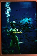 Woman Scuba Diver in Fish Aquarium in 1962, Kodachrome Slide aa 6-5a