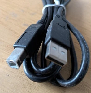 Computer- Druckerkabel USB 2.0 A zu USB B Kabel für PC-Drucker - Photo 1/2