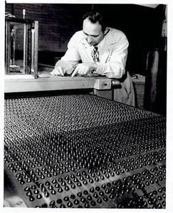 1951 Original Photo worker inspects chocolate chips at Walter Baker & Company - Picture 1 of 2