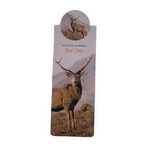 Cardmarks Red Deer Wildlife Nature Magnetic Magnet UK Company If #2404, Y2k 00s  - Imagen 1 de 16