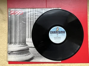 Peter Gabriel Biko 12" Single Vinyl Record 1980 CB 370-12 Charisma - NR MINT - Picture 1 of 2