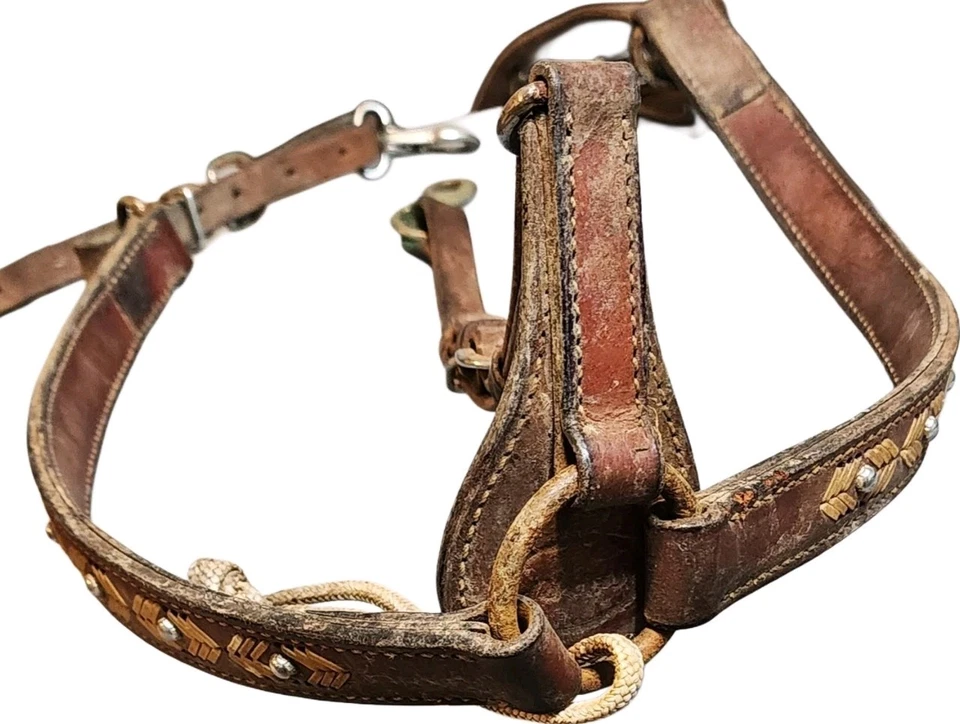 Correa para la cabeza de cuero tostado césped vintage Foto 1 de 4