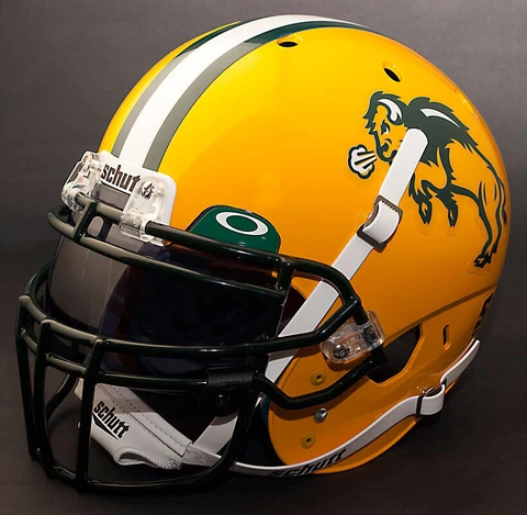 NORTH DAKOTA STATE BISON Football Helmet Cover