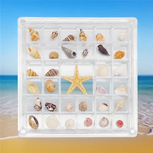 1piece Acrylic Magnetic Shell Display Box Clear Starfish Storage Collection Case - Picture 1 of 10