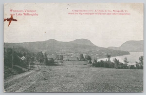 Westmore VT Panorama of Houses near Lake Willoughby Vermont Postcard 1910's - Picture 1 of 5