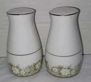 Noritake Princeton #6911 Salz und Pfeffer Set 1969-1985 - Bild 1 von 8