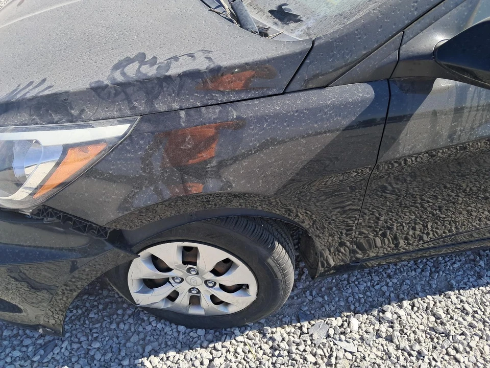 Guardabarros delantero izquierdo usado se adapta a: Hyundai Accent 2016 delantero izquierdo grado A Foto 1 de 4