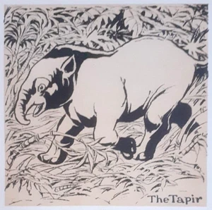 THE TAPIR - ORIGINAL 1901 Art Nouveau Print By HERFORD - Lithograph of a Woodcut - Picture 1 of 2