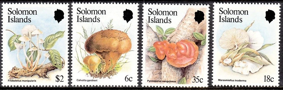 SOLOMON ISLANDS 1984 MUSHROOMS FUNGI — 第 1/1 张图片