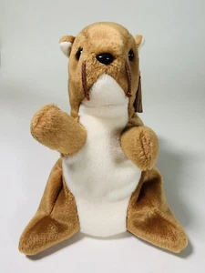 TY Beanie Baby - NUTS the Squirrel (5.5 inch) - MWMTs Stuffed Animal Toy - Picture 1 of 6
