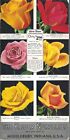 1932 KRIDER NURSERIES OF MIDDLEBURY, INDIANA CATALOG - ILLUSTRATED FLOWERS