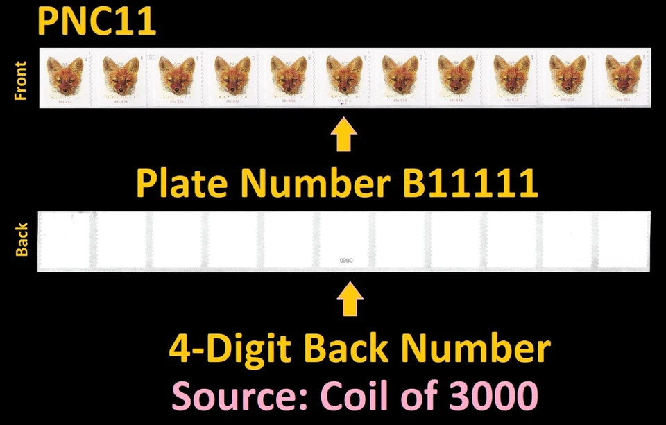 US 5743 Red Fox 40c #on# PNC11 B11111 4d back # MNH 2023 - Image 1 of 1