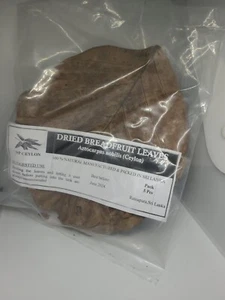 Natural Breadfruit leaves x 5 Shrimp Food for Aquarium Fish Tanks Tannins - Picture 1 of 2