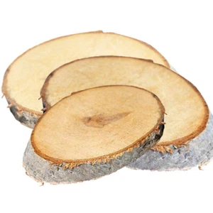 Deko Holz Scheiben Birke in verschiedenen Größen 1Stück ca. 2cm dick Basteln neu - Bild 1 von 1