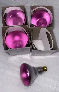 65BR30/DawnPink Soft Pink 65W 130V BR30 Flood Light Bulb *5,000hr * 4-pcs - Picture 1 of 10