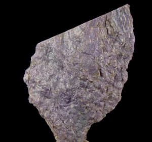 CHAROITE rough raw natural specimen - RUSSIA - SIBERIA - Murunskii Massif /kz433 - Picture 1 of 9