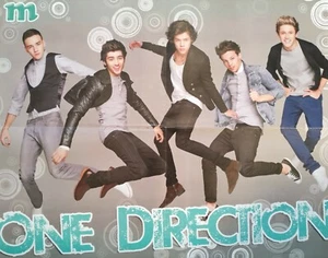ONE DIRECTION - A2 Poster (XL - 40 x 52 cm) - 1D Liam Payne USA Clippings NEU - Bild 1 von 1