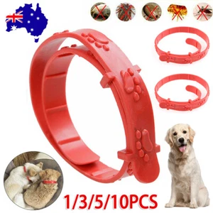 Up To 10Pcs Flea Collars Pet Cat Kitten Cats Adjustable Anti Tick Pest Control - Picture 1 of 12