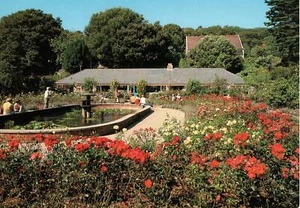 (ai15) Steephill (Botánico) Jardines Ventnor - Isla de Wight Postal - Imagen 1 de 2